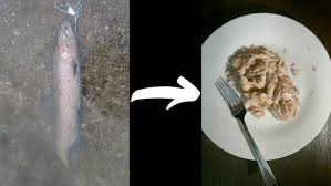 Maybe you would like to learn more about one of these? Whiting Fish Taco Catch And Cook Fishing For Whiting On The Beach Sanibel Island Florida Fishing Youtube