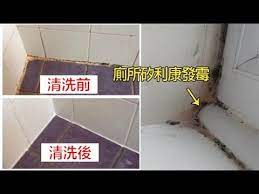 終於有解 廁所的 矽利康 發霉了 只要廚房紙巾沾上竟然馬上白回來 100 有效又簡單 youtube cleaning hacks youtube material