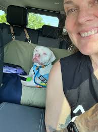 I posted a few of the old dogs to honor them. Here is our new dog Harry. We  picked him up from Big Dog Ranch in West Palm Beach. He is so