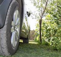 Grass Parking Grids
