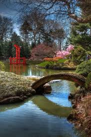 Brooklyn Botanic Garden Gartenprodukte Japanischer Garten Tropische Garten