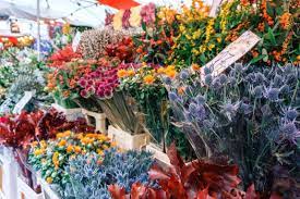 Columbia Road Flower Market London A Complete Guide Ck Travels In 2020 Columbia Road Flower Market Flower Market Columbia Road