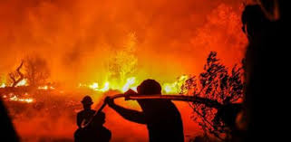 A la región afectada de monchique se suman las localidades de silves y portimao con más. El Incendio De Algarve Sigue Activo