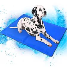The mat will absorb your pet's body heat and turn it to room temperature. Gel Cooling Dog Mat For Dogs Pet Ice Pad Dog Cooling Matteddy Mattress Mat Small Large Cat Cushion Summer Keep Cool Pet Xl Xxl Houses Kennels Pens Aliexpress