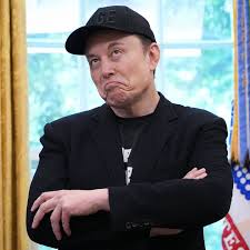 Musk questions Omar and Mamdani's loyalties, hints at foreign influence