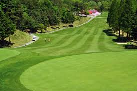 ê³¨íì¥ íì´ì¨ì´ì ëí ì´ë¯¸ì§ ê²ìê²°ê³¼