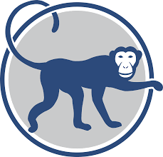 Dogs and their potential owners should be matched for personality before they they included finding a hidden biscuit and coping with its owner leaving with another dog. Take The Test Eagle Center For Leadership