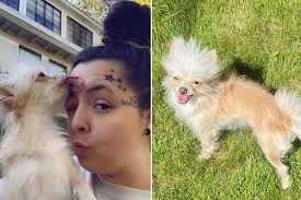 Puppy Abandoned With Tail Tied in Knot Living His Best Li...