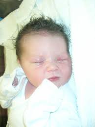 Chebeague Island News