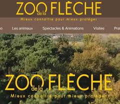 Découvrez plus de 1500 animaux issus de 160 espèces différentes évoluant au cœur de 18 hectares de parc arboré. Reductions Zoo De La Fleche Bon Plan Billets A 20 5 Et 16 5 Page 1 Sur 0 Bons Plans Et Astuces Pour Economiser