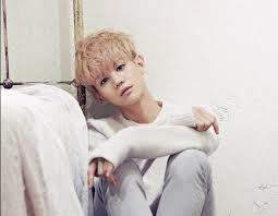 Male Idols So Adorably Small You Ll Want To Keep Them In Your Pocket Yoseob Yang Yoseob Boy Groups