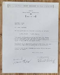 Letterhead 1928 Pennsylvania Spring Grove Ernest Bischoff Printer