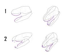 The chest is slightly rotated towards us, so draw the muscles connecting the arms and the hole for the neck. Sketchbook Original How To Draw Dragons Monika Zagrobelna