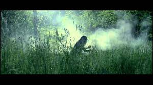 Matteo è un giovane imprenditore di successo, spregiudicato, affascinante e dinamico. Loreen Euphoria Official Video Youtube