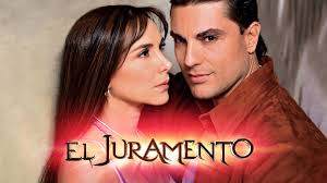 Image result for Justicia francoiseana