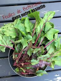 Epingle Sur Cuisine Astuces Et Bases