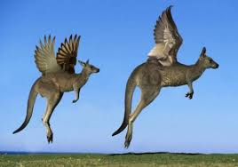 Differenza fuso orario tra australia e italia. Ma Che Ore Sono In Australia Fuso Orario Italia Australia