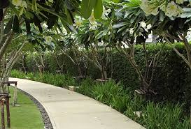 Browse our collection of garden ideas! 5 Landscaping Ideas For Your Dubai Garden The Home Project Servicemarket