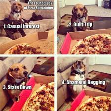 The Four Stages Of Pizza Bargaining Funny Animal Pictures Funny Animals Funny Animal Memes