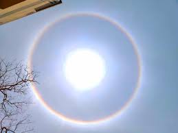 Used to treat canine alzheimer's. What S A Sun Halo Farmers Almanac