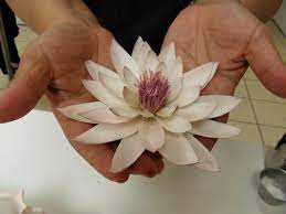 Water Lilly Project On Craftsy Com Sugar Flowers Tutorial Gum Paste Flowers Fondant Flower Tutorial