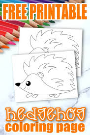 Our first free hedgehog coloring page shows a cute little hedgehog having a fun day outside. Free Printable Forest Hedgehog Coloring Page Simple Mom Project
