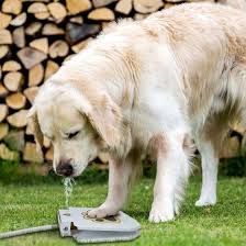 Check spelling or type a new query. Automatic Outdoor Dog Water Fountain Sidenmart