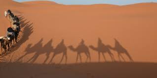 How are british travel companies doing? Morocco Trip Report Magellan Motorcycle Tours