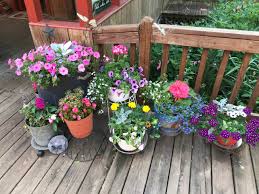 Don't think fashion is relevant in the garden? Everything You Need To Know About Making Flower Containers