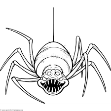 Spider and web coloring pages. Coloring Picture Of Spider