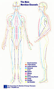 Acupuncture Chart Main Meridians Kootenay Columbia College