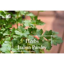 Acara di video itu adalah malam anugerah moeslim choice award di jakarta pusat pada tahun 2018. Parsley Prices And Promotions Jul 2021 Shopee Malaysia