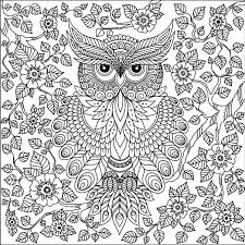 Pin By Pam Musheno On My Colored Pictures Owl Coloring Pages Abstract Coloring Pages Coloring Books