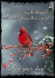 Birds Chirping In The Morning Spiritual Meaning Pin By Brenda Guffey On Funny Things Birds Pretty Birds Beautiful Birds