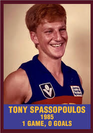 Fitzroy-Brisbane Lions Historical Society