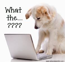 Image result for CONFUSED PUPPY