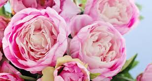 We did not find results for: 5 Favorite Flowers To Give Mom On Mother S Day Farmers Almanac