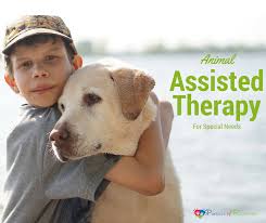 Animal assisted therapy, also known as aat, is a therapy that acknowledges the power of animals as a form of treatment. Pet Assisted Therapy For Special Needs