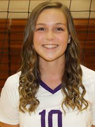 Fall rankings: Bronson volleyball remains at the top of its class