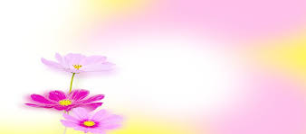 الخيال الوردي الزهور الخلفية Flower Backgrounds Abstract Artwork Abstract