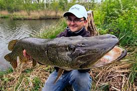 Monsieur cacciatore (habitant le quartier de gilly gazomètre),qui était installé depuis le lever. Histoire D Un Poisson Record Ultimate Fishing