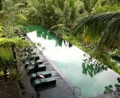 Lap Pool In Bali Schwimmbad Designs Gartenpools Im Freien