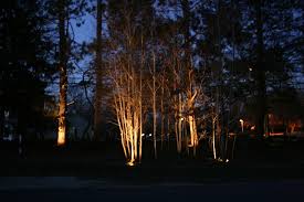 Artistic Landscapes Low Voltage Landscape Lighting