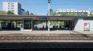 Neuhausen am rheinfall (bis 1938 offiziell neuhausen genannt) ist eine politische gemeinde des kantons schaffhausen in der schweiz. Gemeinde Neuhausen Am Rheinfall