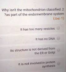 Endomembrane System - Components & Functions | Testbook.Com