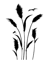 Forum themen beiträge letzter beitrag; Graser Ein Schoner Sichtschutz Im Garten Oder Ein Wandtattoo Im Haus Inspiration Zum Sichtschutz Https Www Dxf Store Com Gras Zeichnen Graser Zeichnungen