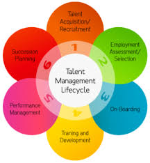 What Is The Talent Management Life Cycle Cpp Blog Talent Management Management Infographic Knowledge Management