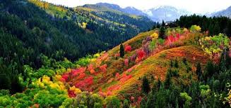 Best neighborhoods in midway, utah: Midway Utah Real Estate Homes Land And New Construction