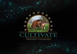 CULTIVATE SALE & EVENT by signaturegraphics24
