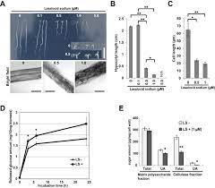 To see the current shape you can use print(des.shape) before reshape. Modification Of Plant Cell Wall Structure Accompanied By Enhancement Of Saccharification Efficiency Using A Chemical Lasalocid Sodium Scientific Reports